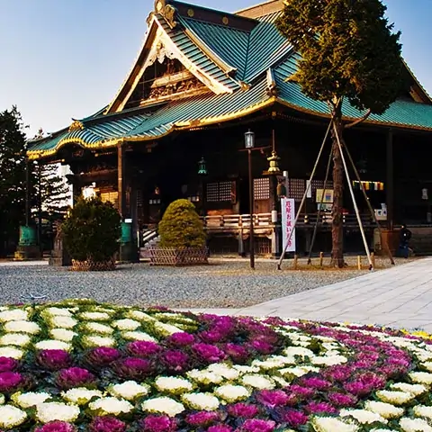 Japan